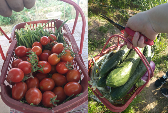 1527734101409833.png image.png